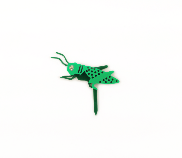 Lucky Lonely Grasshopper